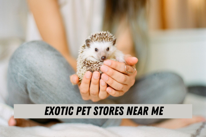 exotic pet stores near me