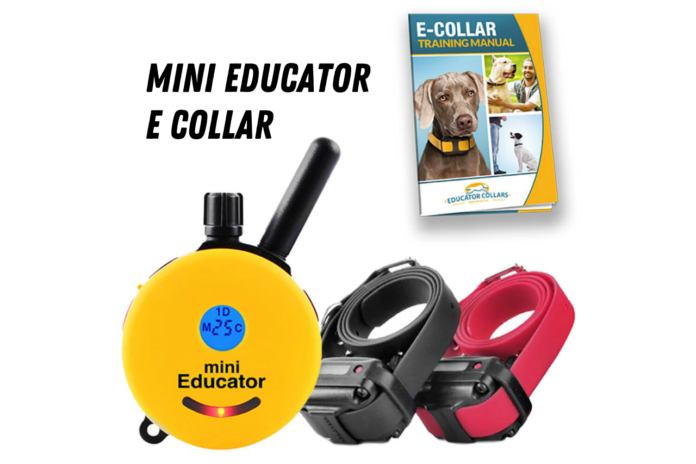 mini educator e collar