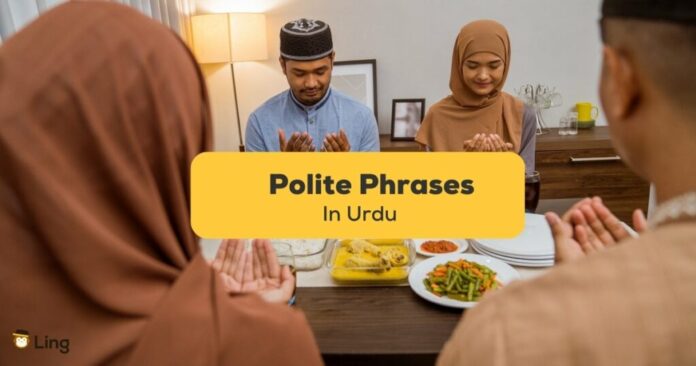 polite meaning in urdu